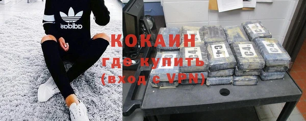 ПСИЛОЦИБИНОВЫЕ ГРИБЫ Кулебаки