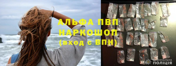 ПСИЛОЦИБИНОВЫЕ ГРИБЫ Кулебаки