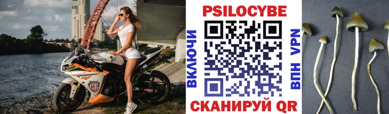 Купить  Бронницы  Псилоцибиновые грибы ЛСД 